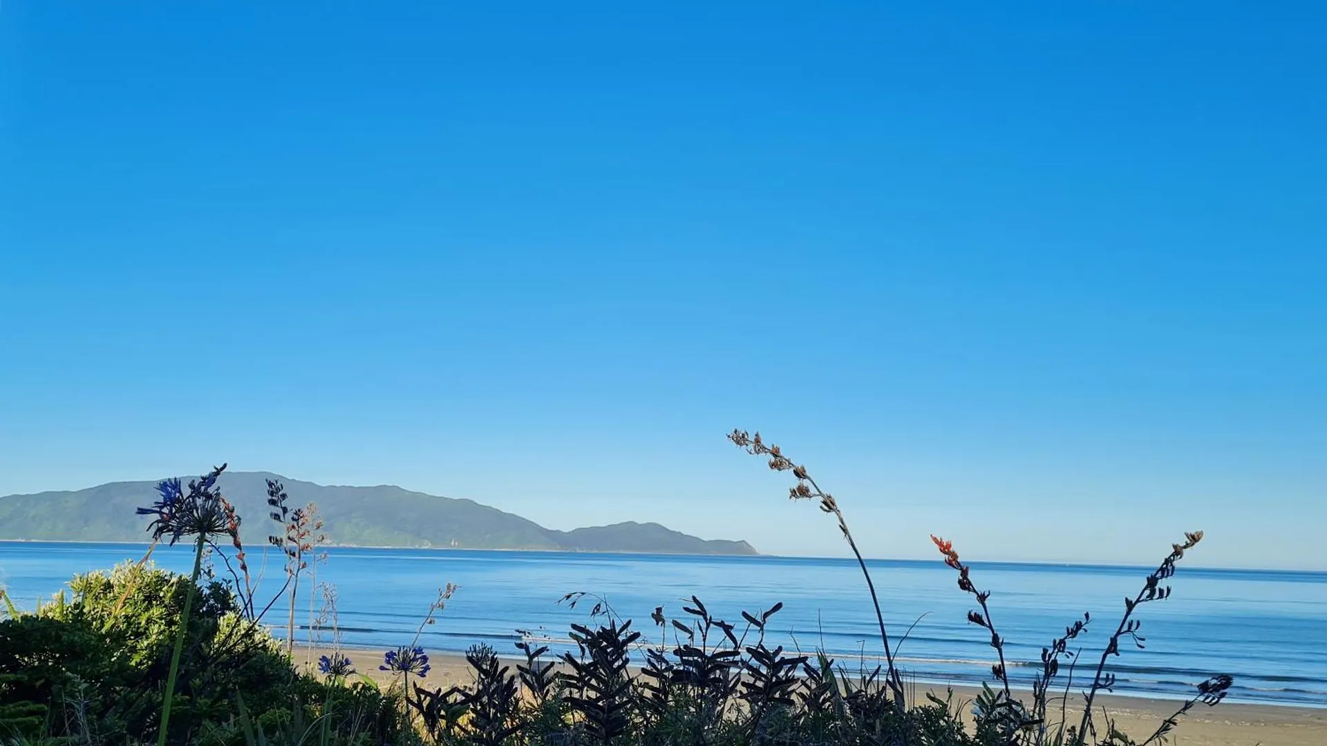 Waikanae Beach Suite Retreat New Zealand